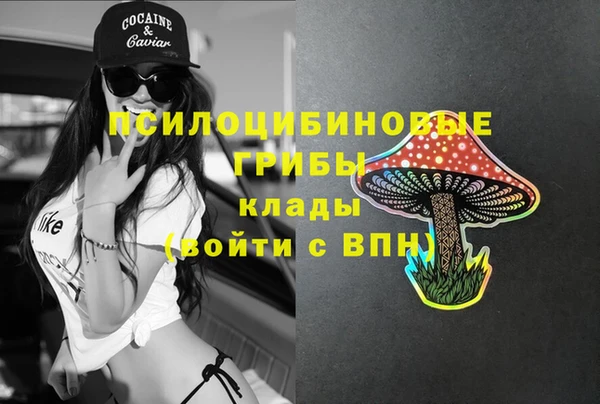 mdpv Алзамай
