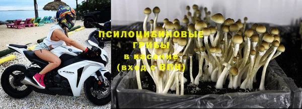 герыч Абаза