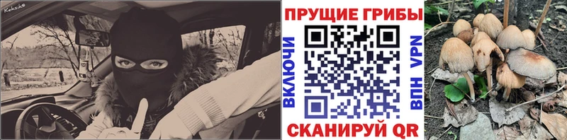 Галлюциногенные грибы Magic Shrooms  Шумерля 